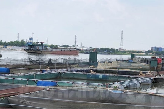 Tàu thuyền gặp họa vì lồng cá trên sông 