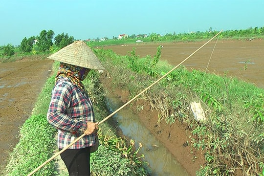 Câu cáy ở Vĩnh Lập