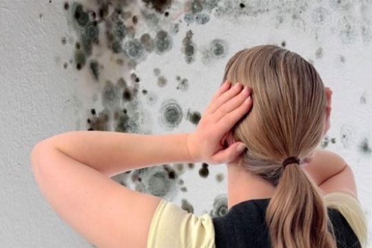 Mẹo loại bỏ nấm mốc trong nhà sau những ngày mưa nồm ẩm