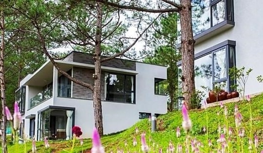 Homestay ven Hà Nội "cháy" phòng, dân thuê đồ cắm trại giữa trời