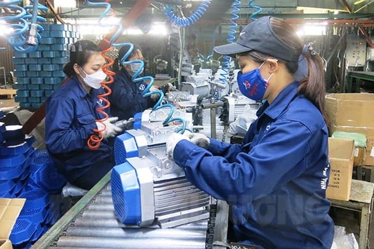 Hai Duong businesses’ secrets to creating typical rural industrial products