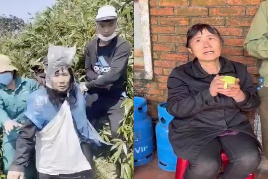 Sống sót sau 7 ngày rơi xuống vực: 3 lần thoát hiểm bất thành, kêu cứu không ai nghe