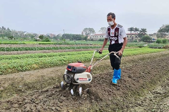 Kỹ thuật cải tạo đất nông nghiệp bạc màu