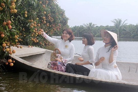 Thanh Hà phát triển du lịch sinh thái sông Hương  gắn với sản phẩm nông nghiệp