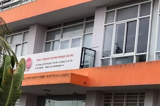 Sa thải trái luật, công ty phải bồi thường tiền tỷ cho 2 người lao động