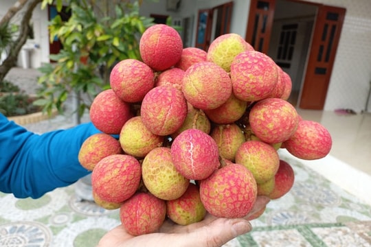 180,000 VND/kg of u trung trang lychees