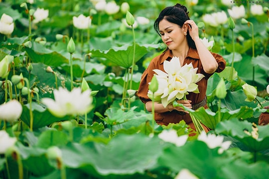 Sen trắng vào mùa, giới trẻ Hà Nội đổ xô ra ngoại thành "sống ảo"
