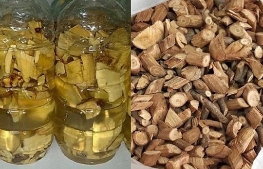 Uống rượu ngâm rễ cây chữa xương khớp, bệnh nhân hôn mê, tổn thương não