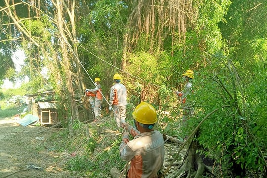 Mạnh tay xử lý vi phạm hành lang an toàn lưới điện cao áp