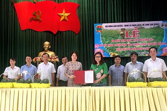 Dán tem truy xuất nguồn gốc dưa hấu Ngọc Liên