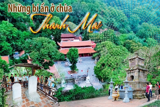 Những bí ẩn ở chùa Thanh Mai 