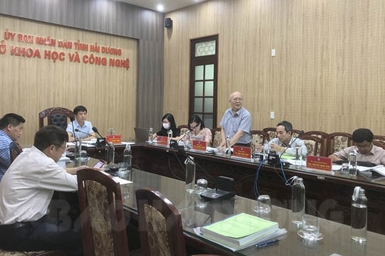 Nuôi lợn bằng thảo dược cho lãi cao hơn nuôi truyền thống 