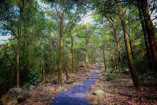 There is a miniature Da Lat in Con Son