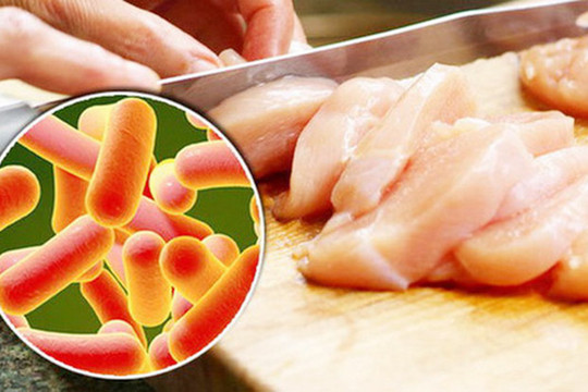 Khắc phục tình trạng thịt lợn nhiễm vi khuẩn Salmonella
