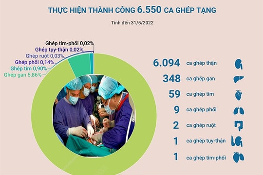  [Đồ họa] Ghép tạng Việt Nam - nhiều thành tựu vượt bậc