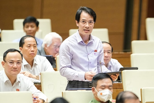 Đề nghị sáp nhập Ban Thanh tra nhân dân với Ban Giám sát đầu tư cộng đồng