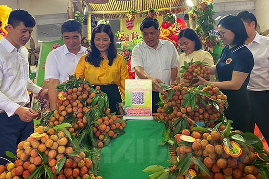 Vải thiều Thanh Hà gây chú ý tại chợ nông sản ở Hà Nội