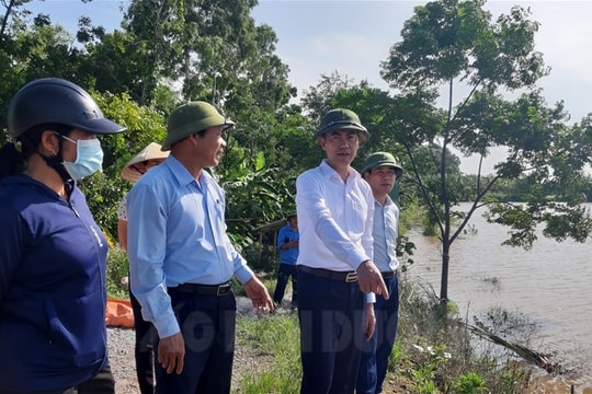 Ninh Giang chỉ đạo xử lý sự cố đê sông Luộc