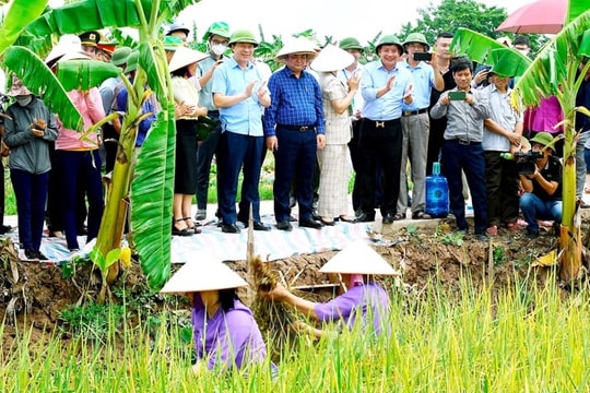 Người Hải Dương làm nông nghiệp "đa tầng", "đa giá trị"