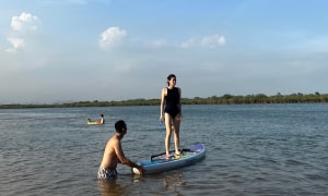 Trốn nóng tại khu rừng ngập mặn gần Hạ Long