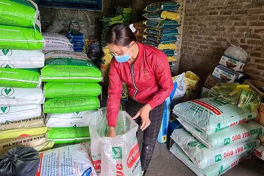 Đầu vụ mùa, giá phân bón "hạ nhiệt"