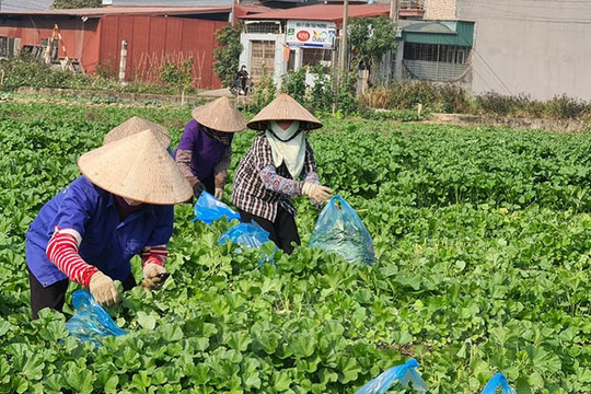 Sau 2 năm sáp nhập đơn vị hành chính cấp xã: Mở hướng phát triển mới