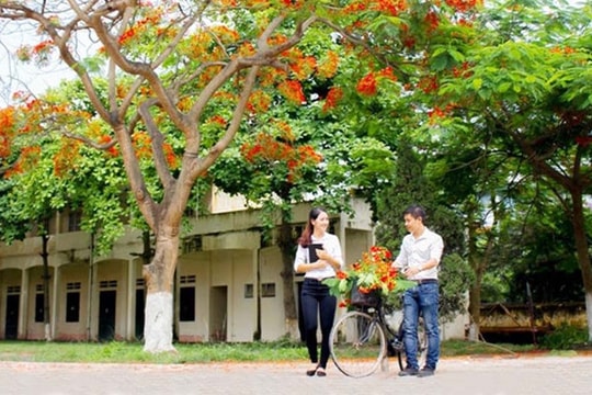 Nhớ mái trường xưa