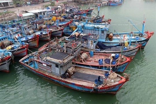 China requested to respect Vietnam's sovereignty over Hoang Sa archipelago