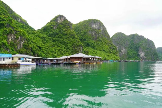 Cảnh bình yên ở làng chài cổ "đẹp nhất thế giới" trên vịnh Hạ Long
