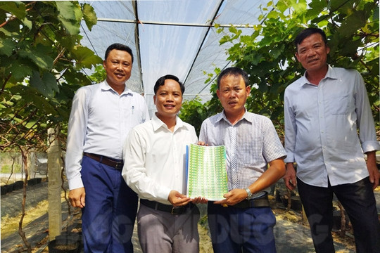 Nhà vườn Mạnh Đoàn nhận 7.000 tem truy xuất nguồn gốc sản phẩm