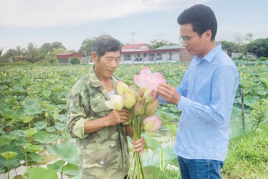 Biến ruộng hoang thành đầm sen tiền tỷ