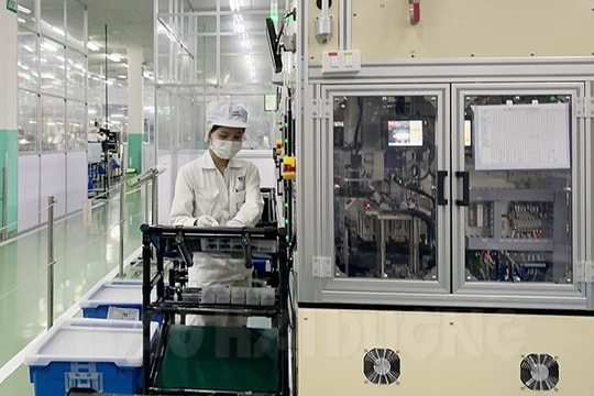 Processing and manufacturing industry sees high growth