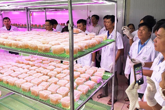 Du lịch nông nghiệp