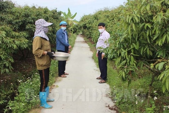 Tứ Kỳ đầu tư hơn 12 tỷ đồng làm đường ra vùng nuôi thủy sản tập trung