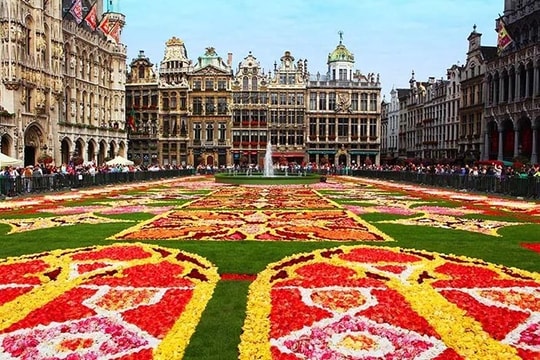 Thảm hoa Brussels chào đón du khách sau 2 năm vắng bóng