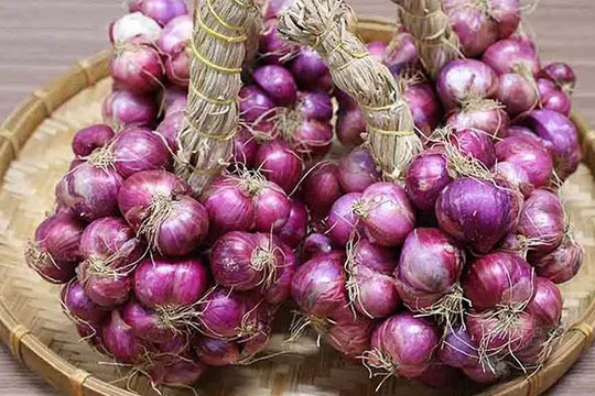 Cách bảo quản hành tím khô được lâu