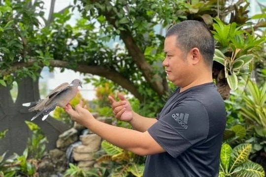 Vườn chim hơn 1 tỷ đồng trên sân thượng