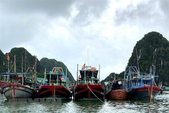 Third storm imminent to East Sea: forecasting centre