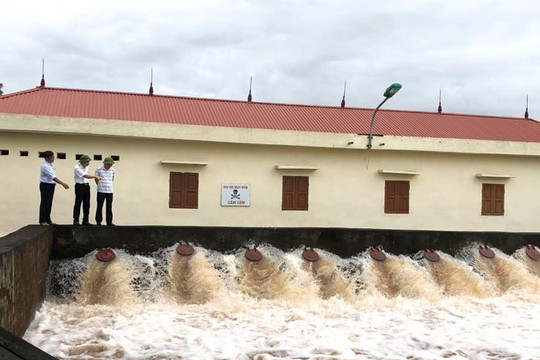 Mưa lớn gây ngập úng và làm sạt nhiều vị trí đê điều