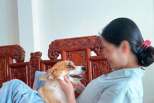 Hành trình chuộc cún cưng