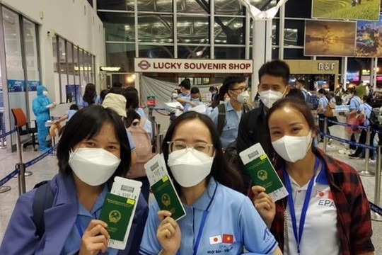 Lao động Việt Nam sẽ có nhiều cơ hội mới sang Nhật Bản làm việc