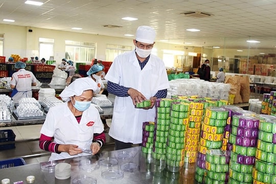Numbers of both newly-established businesses and registered capital rise