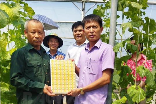 Gia Lộc bàn giao 5.000 tem truy xuất nguồn gốc cho nhà vườn Phạm Du