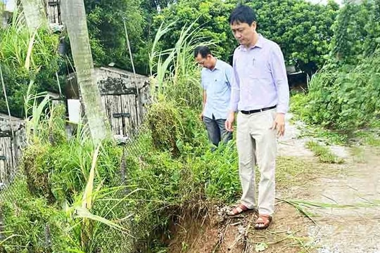 Bờ kênh Bắc Hưng Hải bị sạt lở thêm 24 điểm sau bão số 3