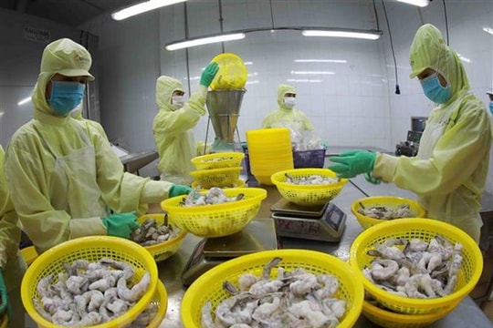 Mỹ tiếp tục áp thuế chống bán phá giá với tôm nước ấm từ Việt Nam