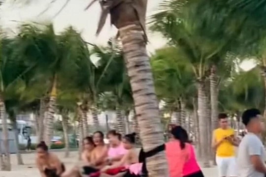 Xác minh nhóm du khách nữ cởi áo chơi team building phản cảm ở Hạ Long