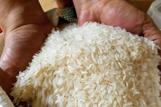 Ấn Độ cấm xuất khẩu, gạo Việt Nam tăng giá từng ngày