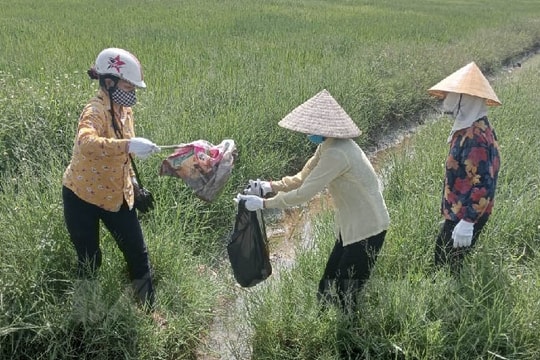Cẩm Giàng ra mắt mô hình điểm "Cánh đồng không rác thải" tại xã Cẩm Đông