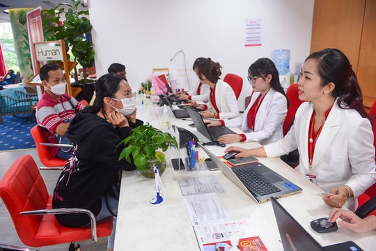 Vì sao điểm chuẩn khối C và ngành công nghệ thông tin tăng mạnh?