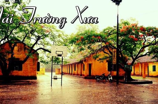 Nơi mái trường xưa